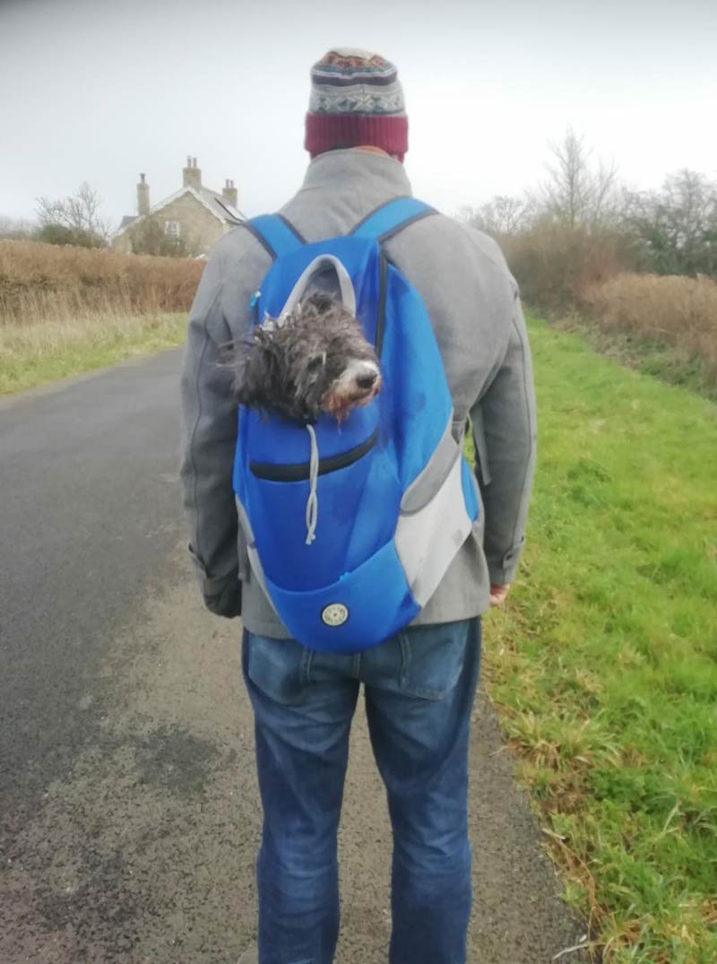 My dog is very old now and she gets all tuckered out on walkies, so my parents bought her a bag to sit in