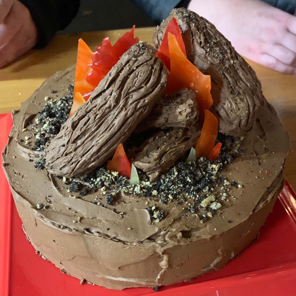 I made my friend a campfire cake for her birthday but the more I look at it, the more it looks like a flaming pile of poop
