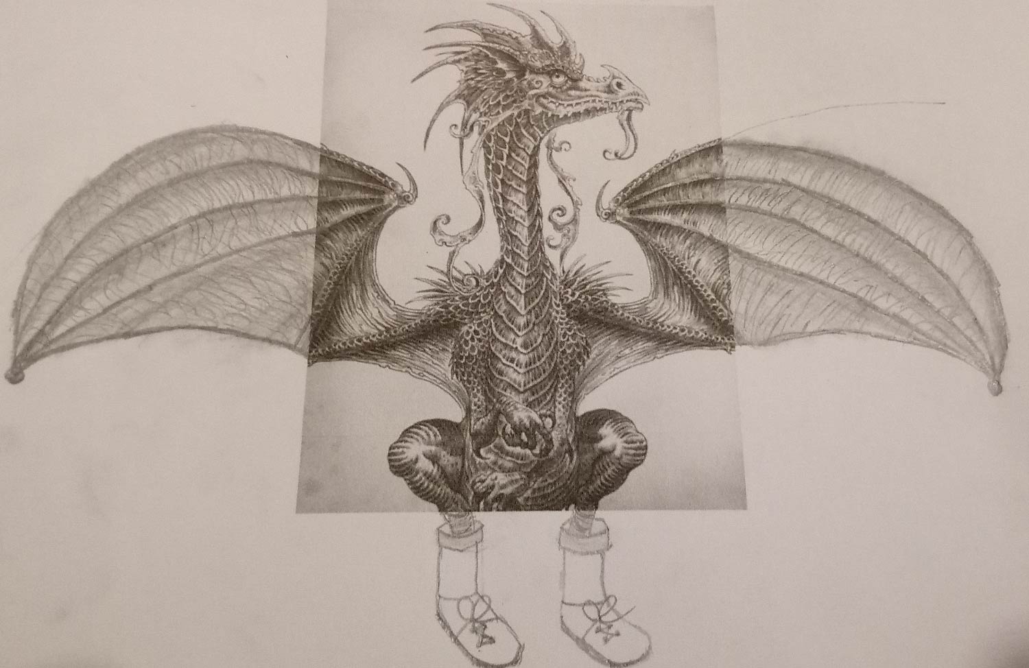 My little daughter had to draw the wings and feet of the dragon as homework