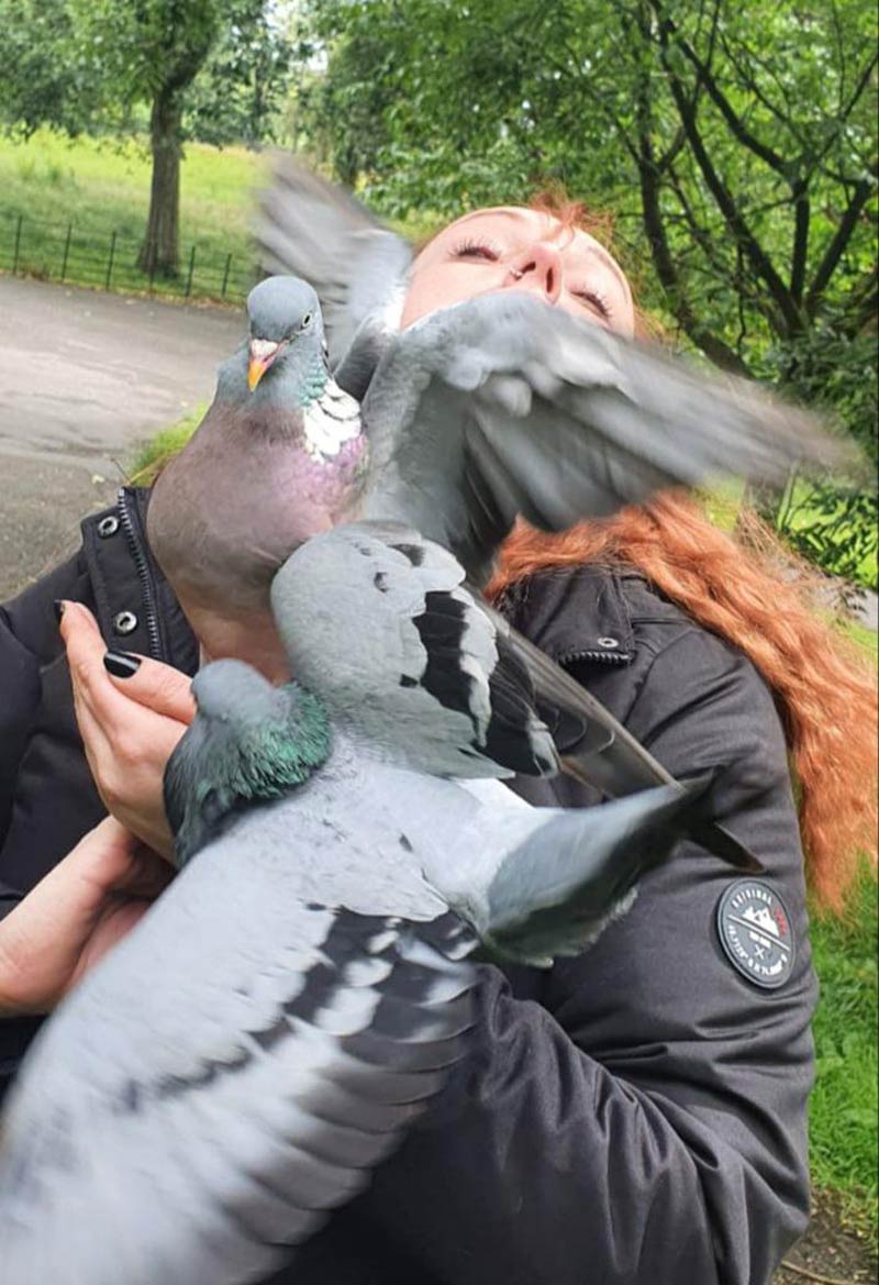 Let's feed the pigeons they said, it'll be fun they said