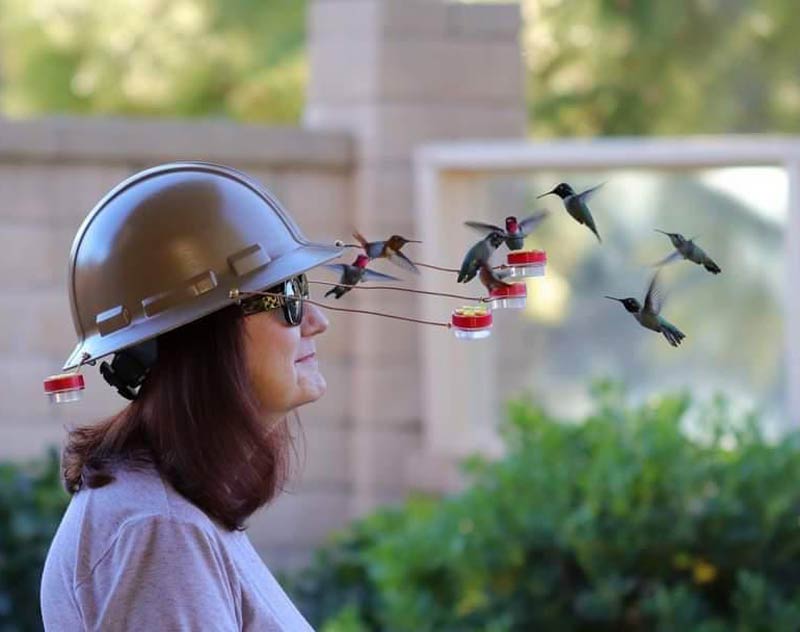 My father-in-law invented this hummingbird helmet. He calls the feeder in the back "The Tickler"