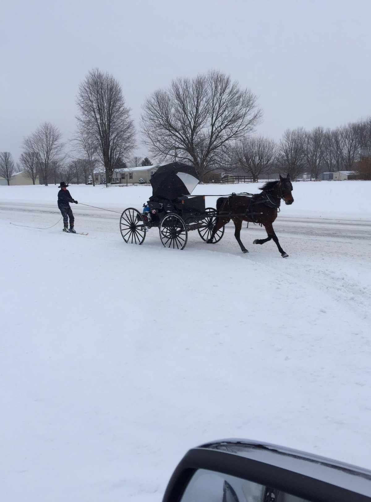 Amish Winter in Indiana
