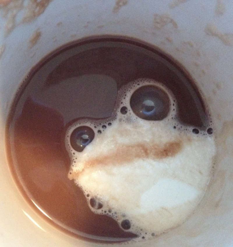 Frothy Frog Coffee