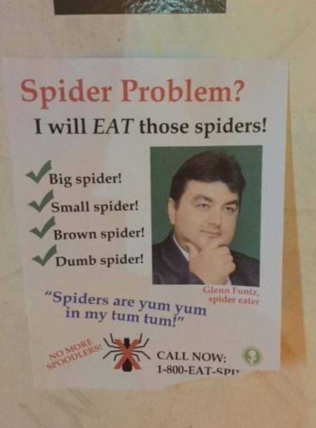 Spider Problem?
