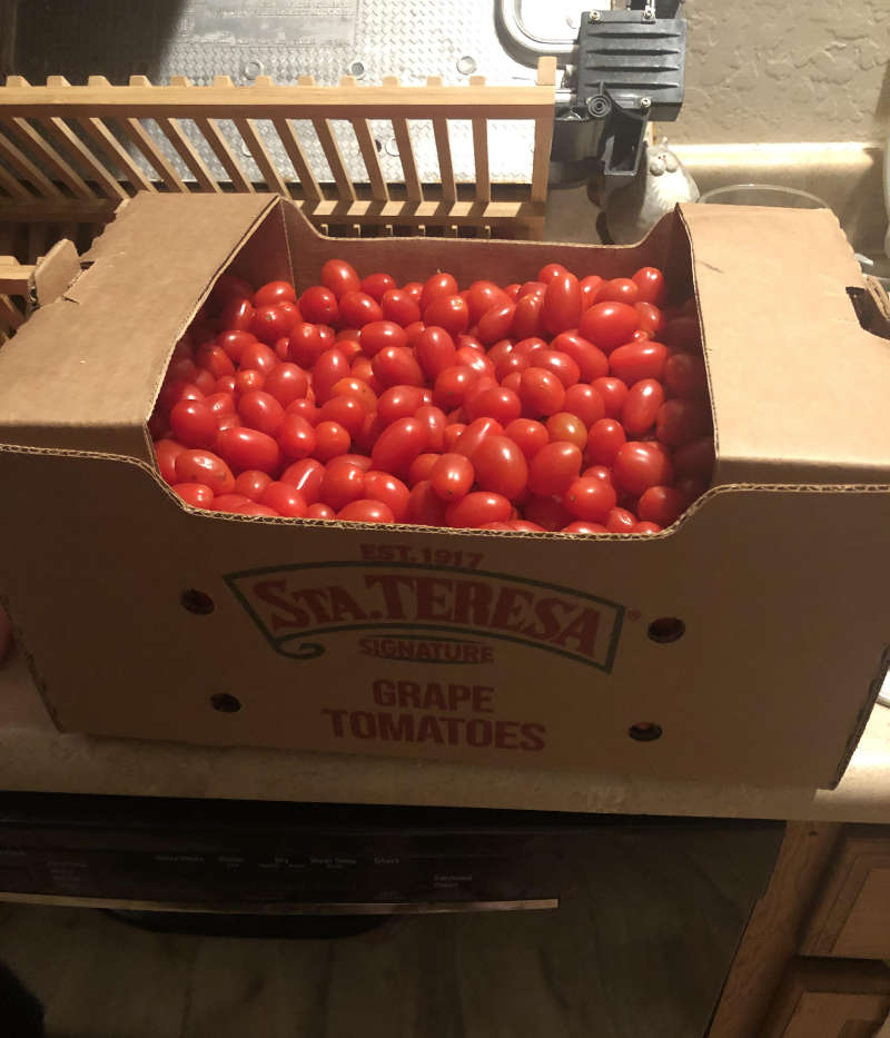 I asked my mom to grab some grape tomatoes. It’s a 20lb box. Guess I’ll be making tomato paste, tomato sauce and anything else that has a frigging tomato in it for the next forever.. 20lbs!
