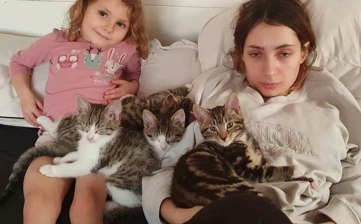 Asked my friend how her lockdown was going, she's dealing with a fresh litter of 4 cats and and a lively 3 year old.. This was the response I got, face says it all