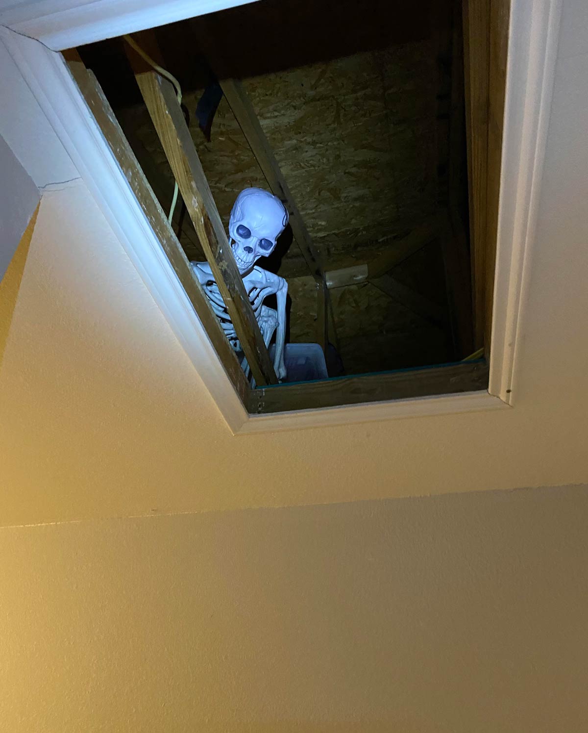 Future me is gonna have a heart attack when he opens up the attic