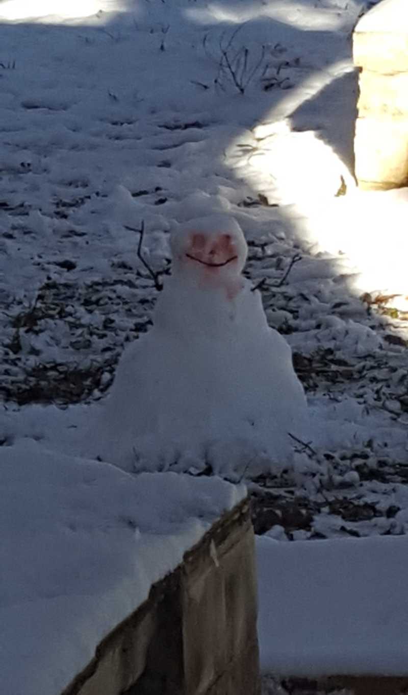 My sister built a snowman using peppermints for the eyes. This is what her husband saw out the window the next morning