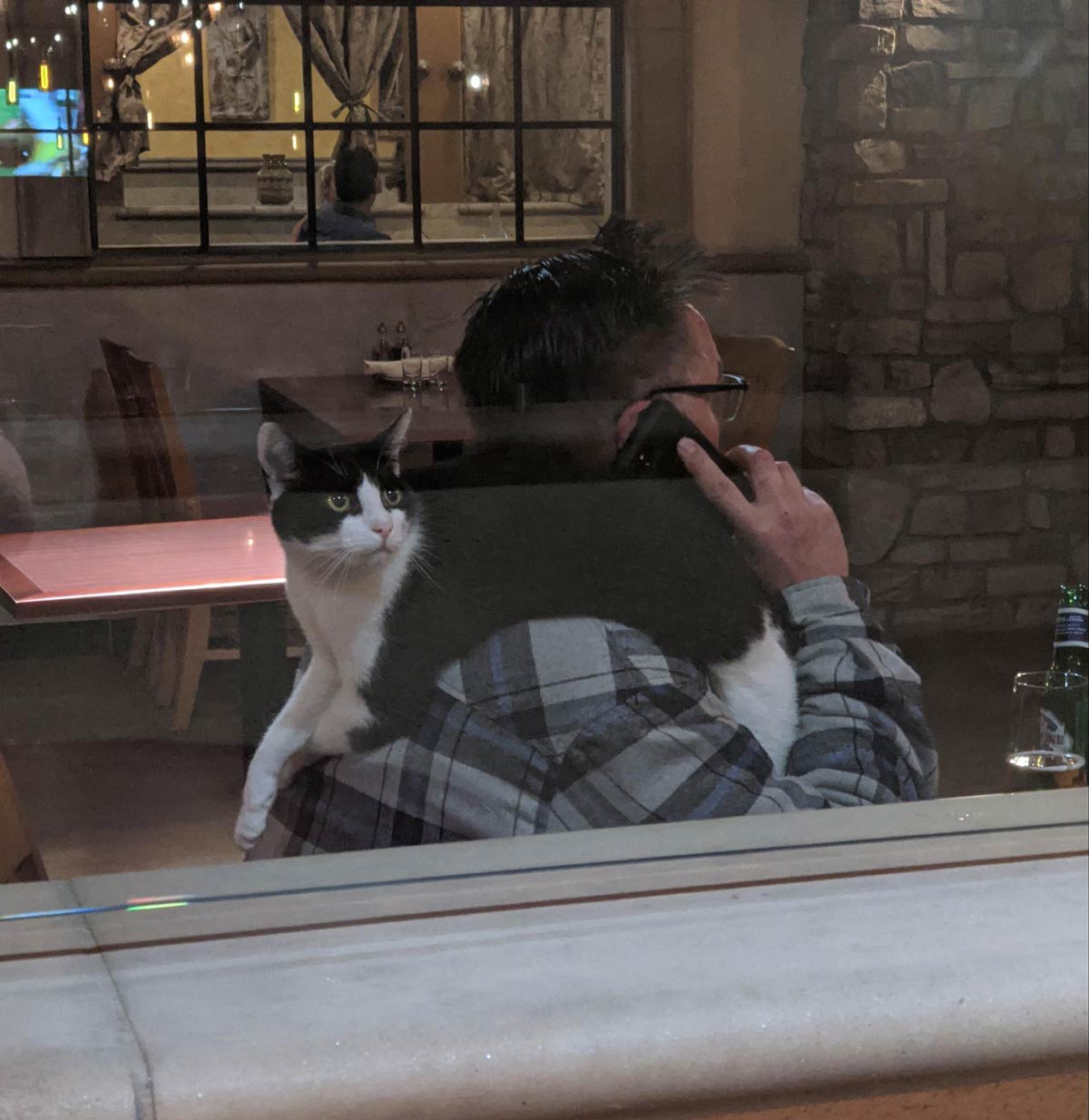 Saw this guy on a phone call at the restaurant I was eating at, with a cat chilling on his shoulder
