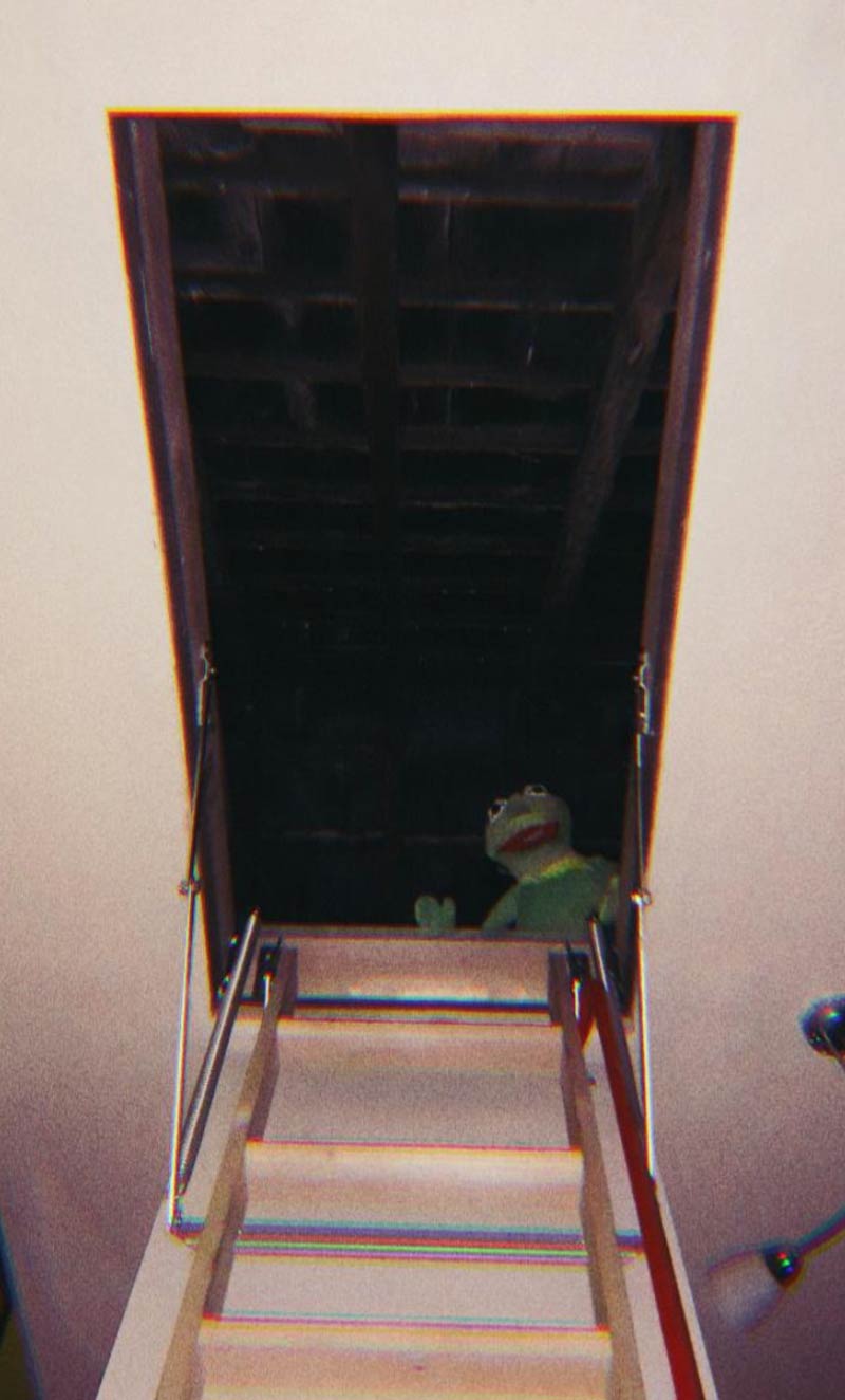 My partner is putting her Kermit puppet to good use