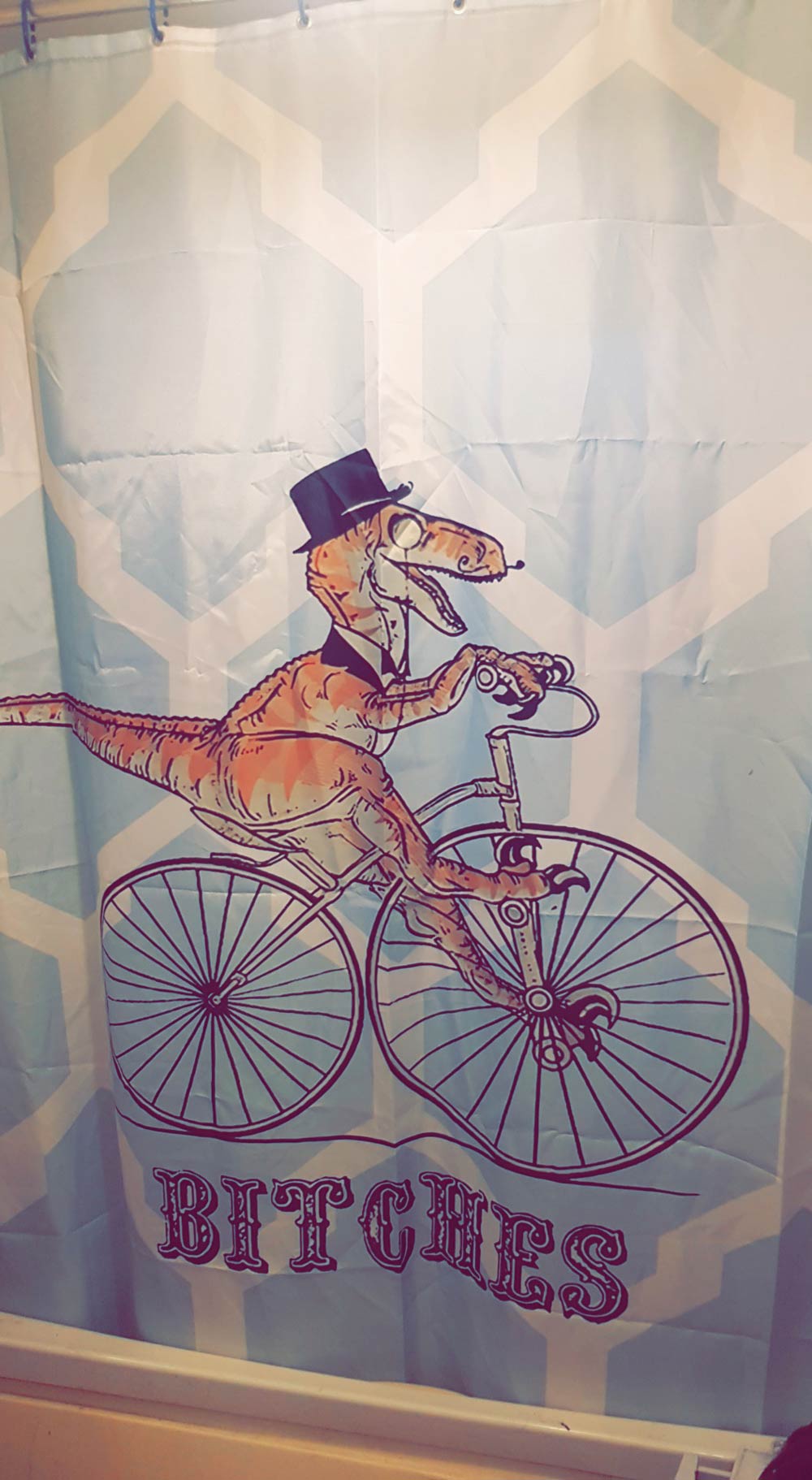 Told my husband to buy a new Shower Curtain. He did not disappoint