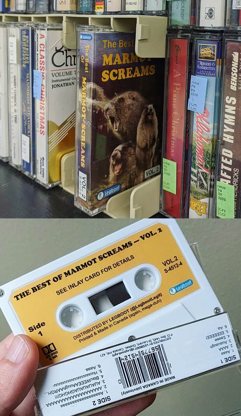 The Best of Marmot Screams