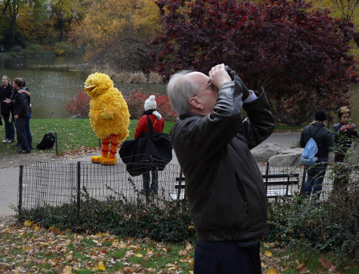 My father-in-law bird watching in Central Park