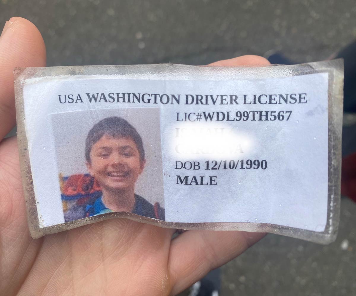 One of the best fake IDs I’ve ever seen