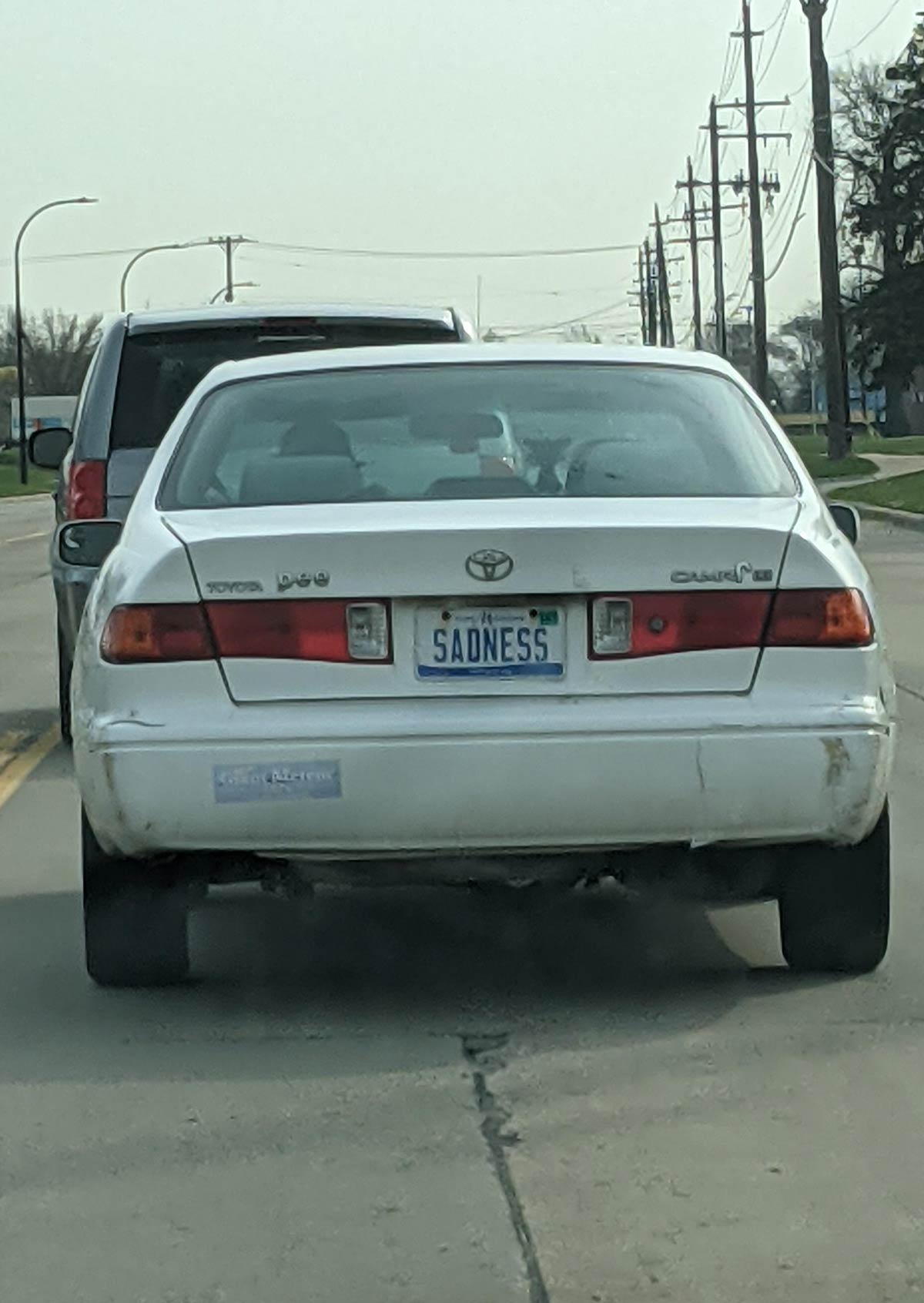 The car in front of me on my way to work, is letting me know what to expect