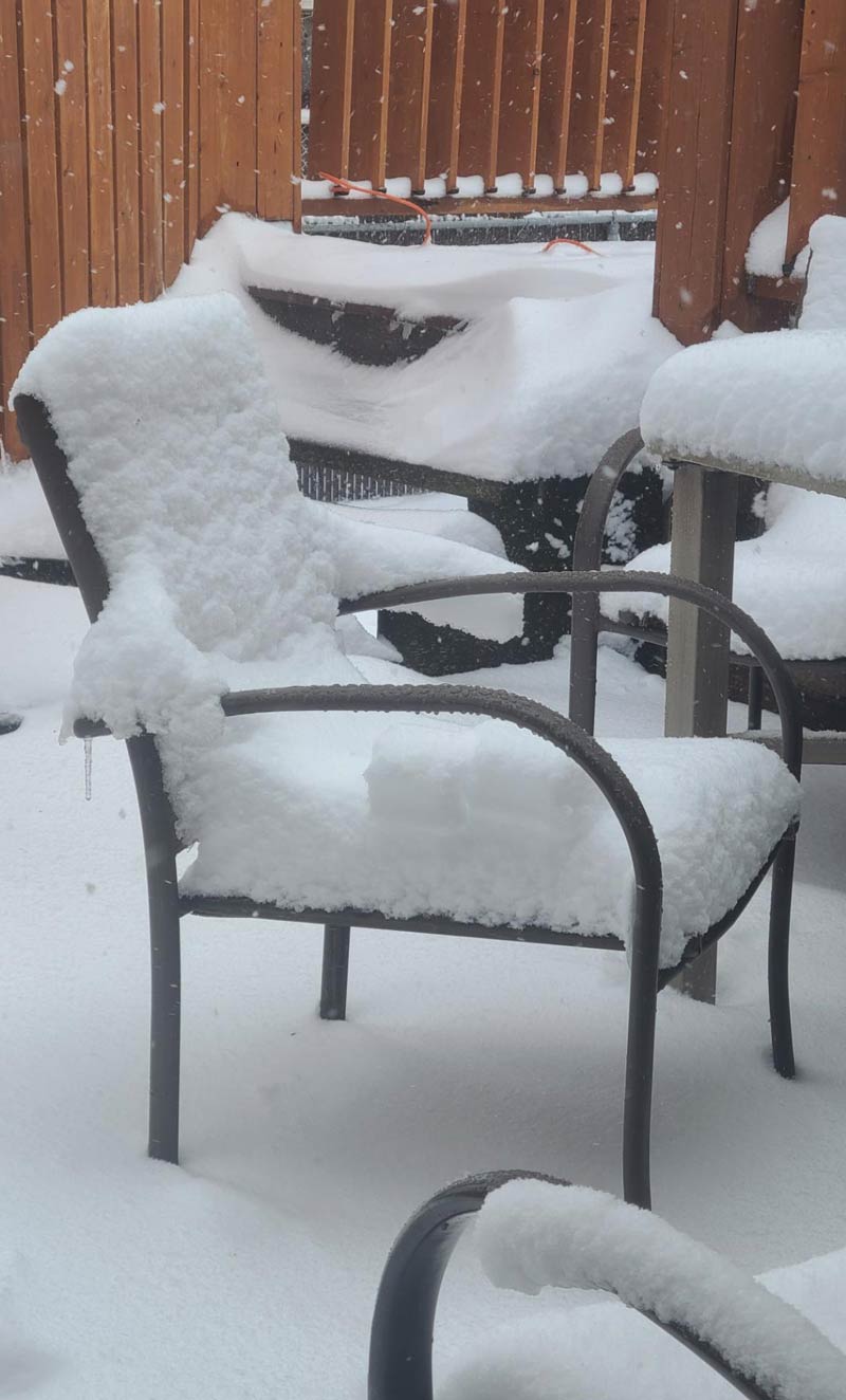 Snow looks like it's sitting in the chair