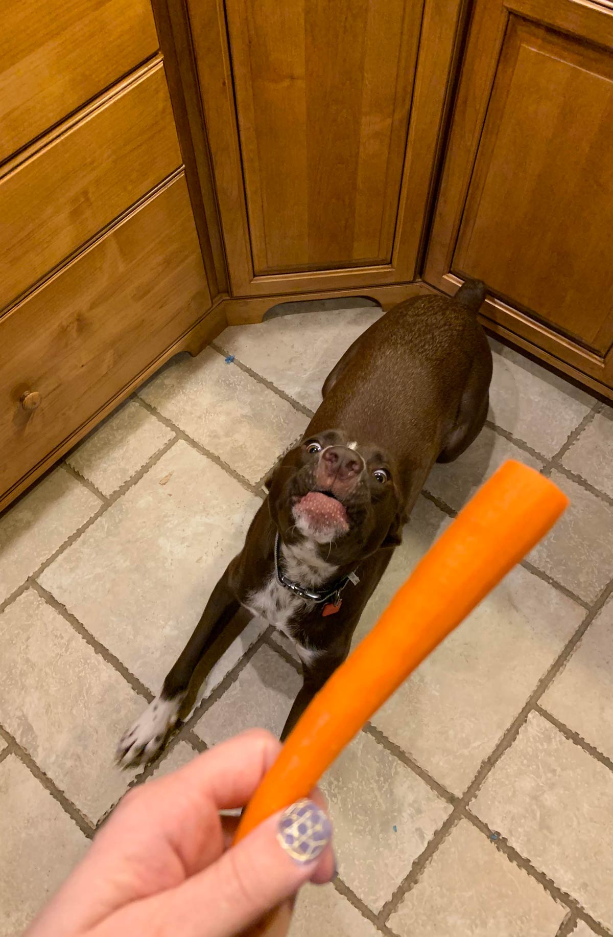 That carrot face