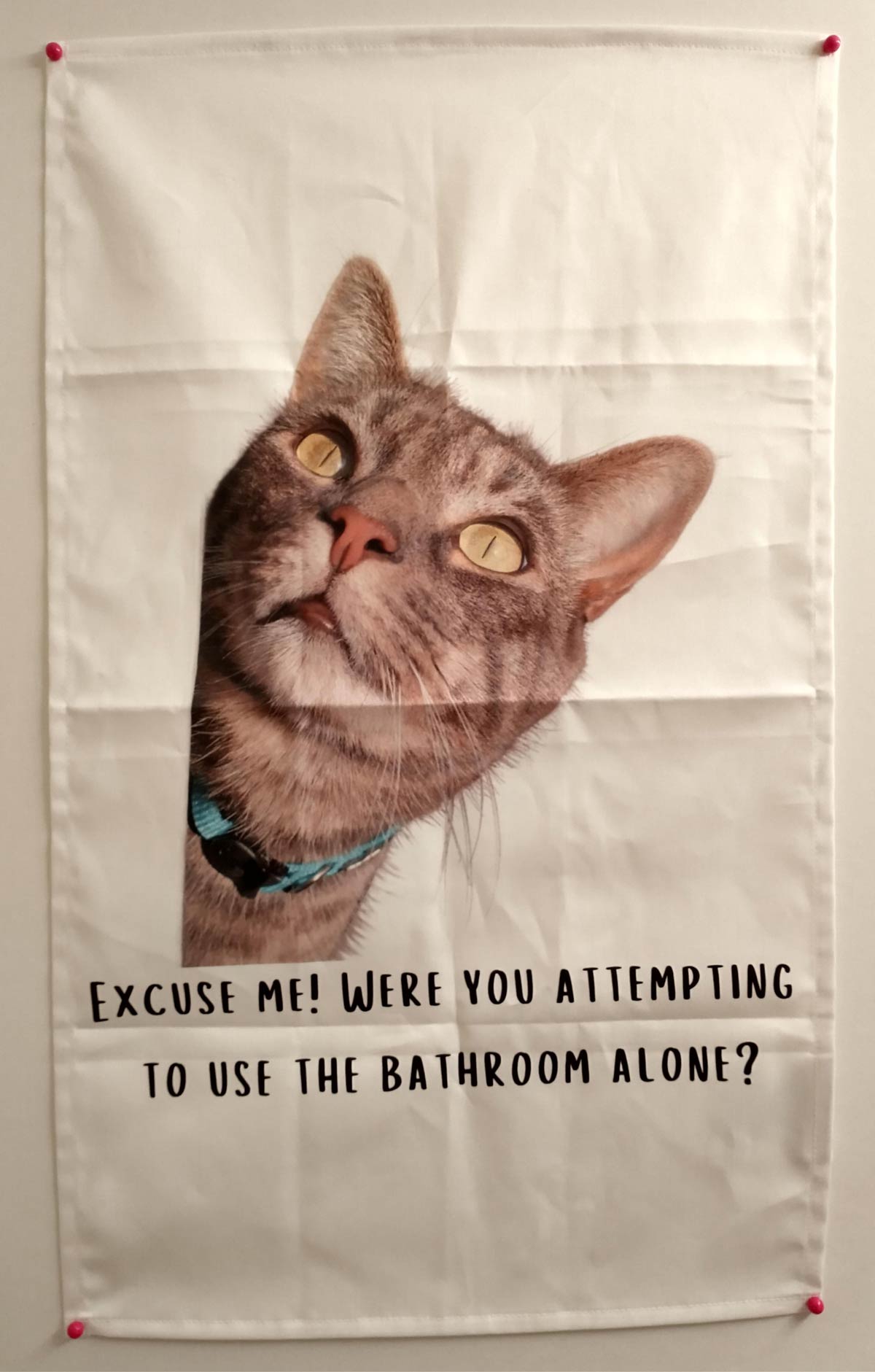 My wife gave me the perfect bathroom door tapestry for my birthday