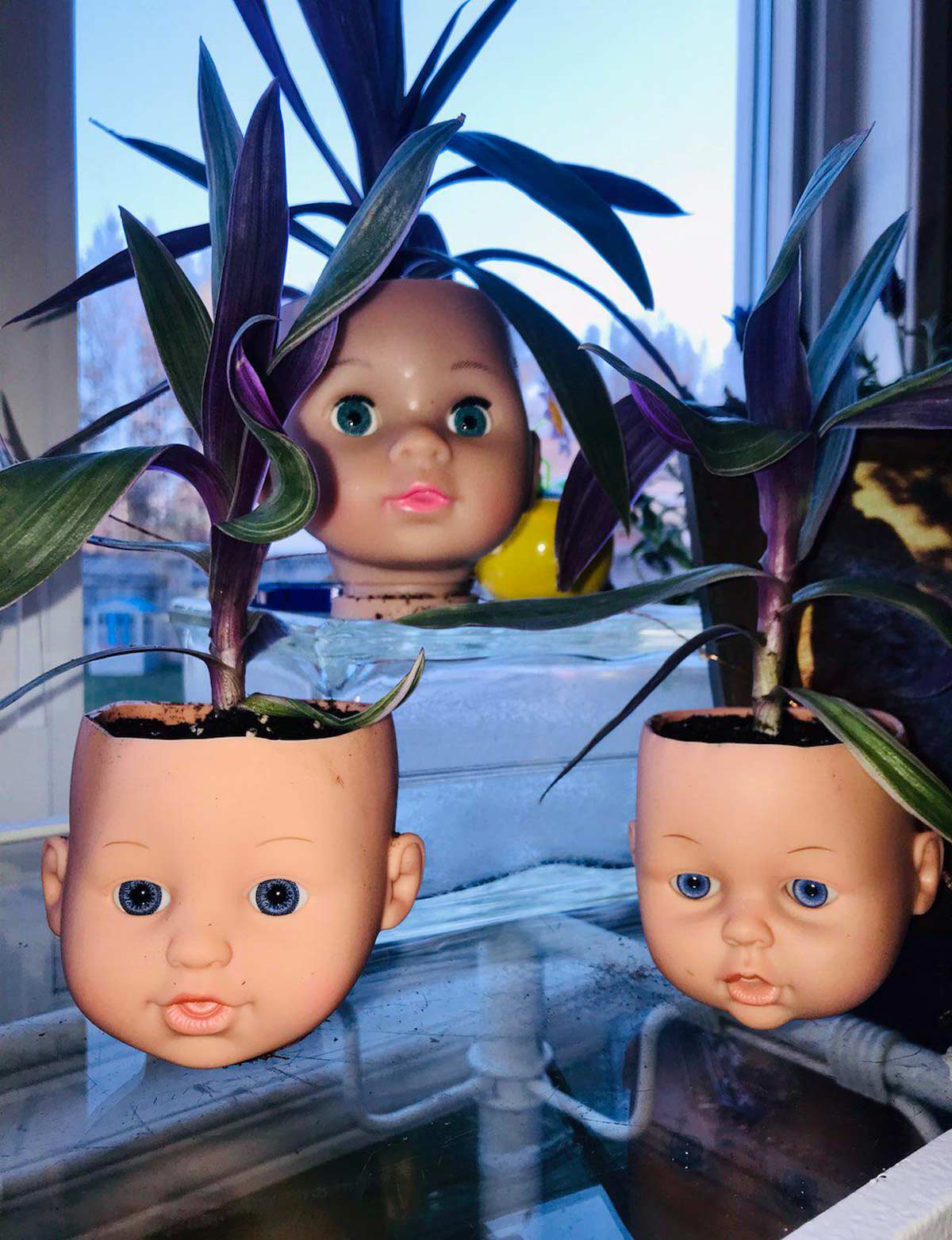 My neighbor repurposed her daughter's doll heads as planters