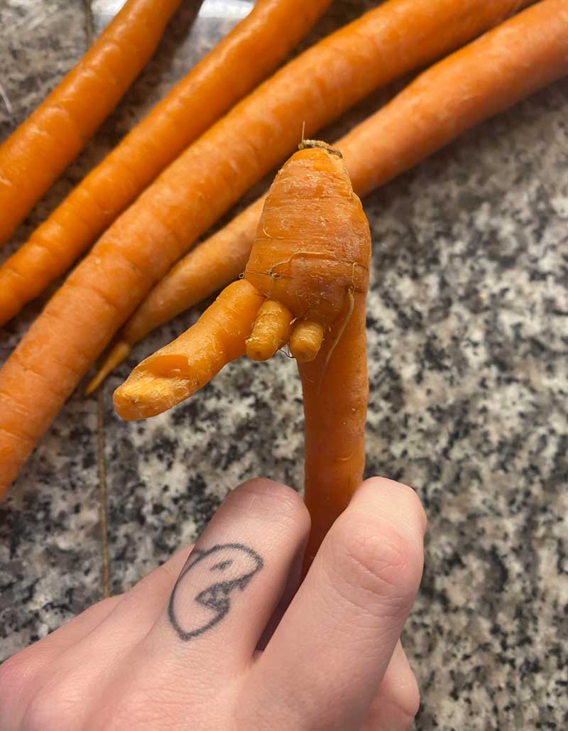 Found a funky carrot
