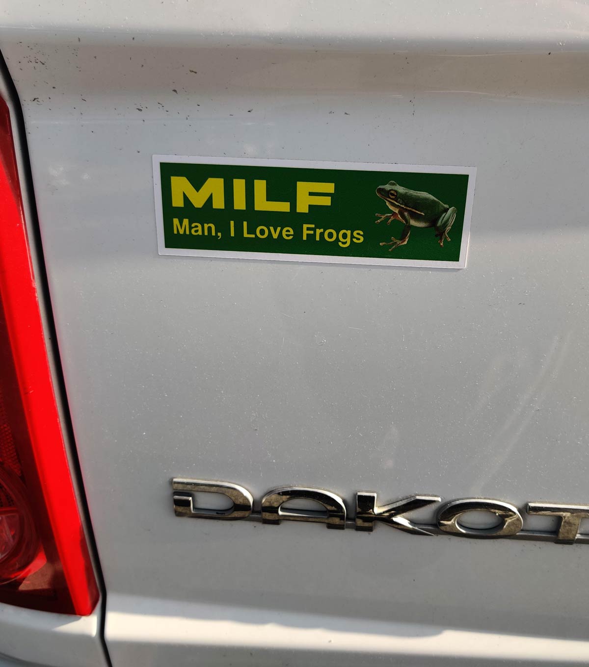 I guess the man loves frogs