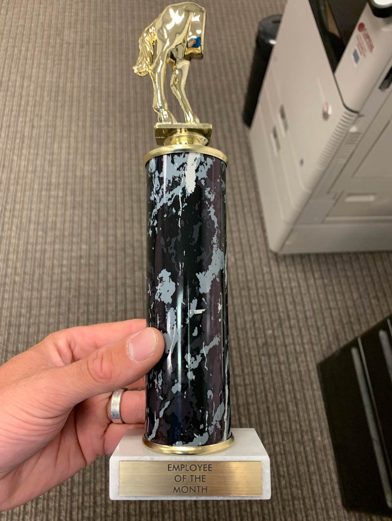 I probably shouldn’t have been in charge of ordering our office team-building trophies