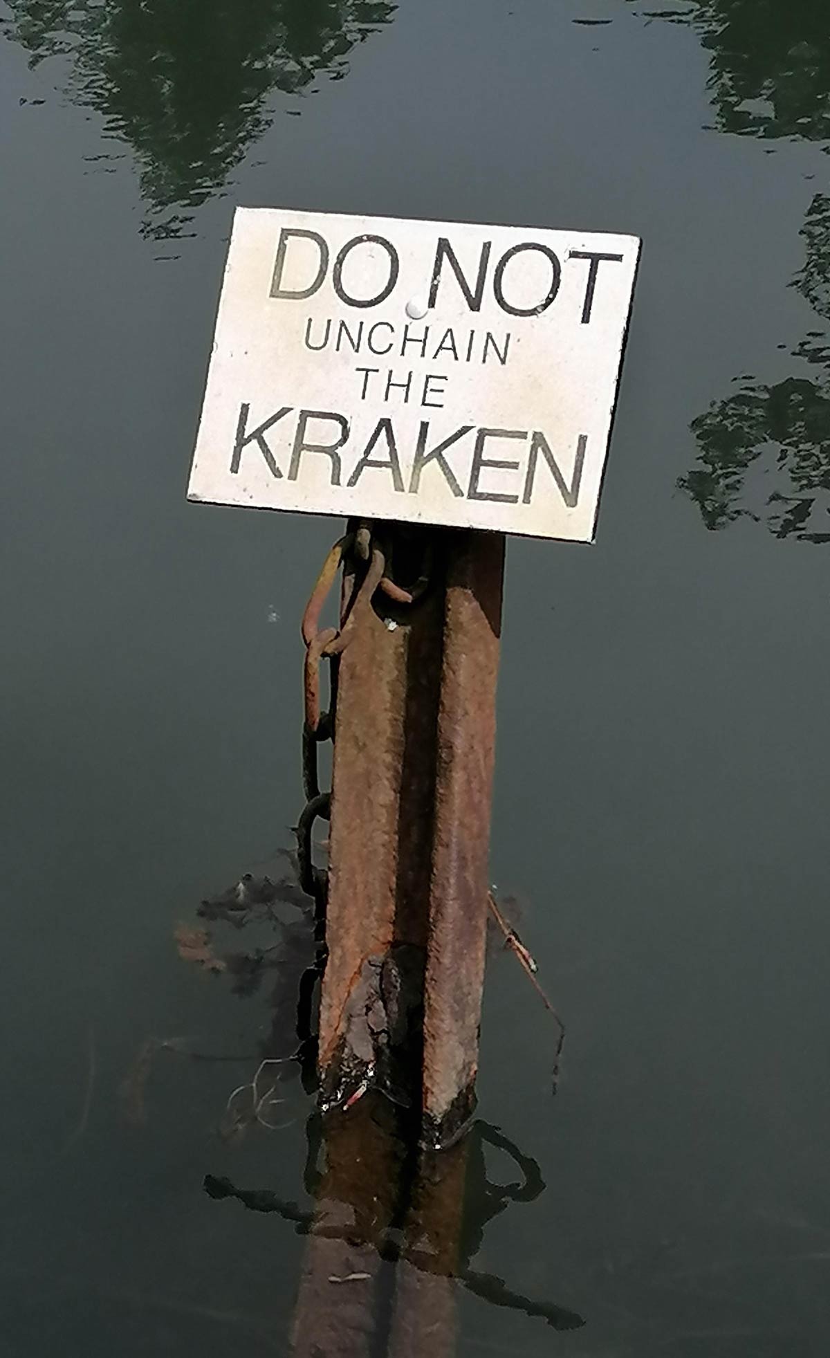 Saw this at my local lake