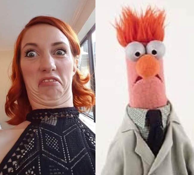 I might be a Muppet