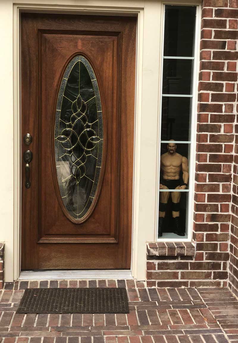 My nephew’s Stone Cold security system