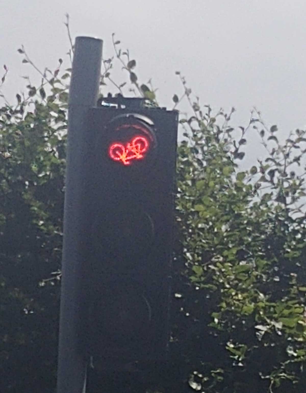 Go home traffic light, you're drunk