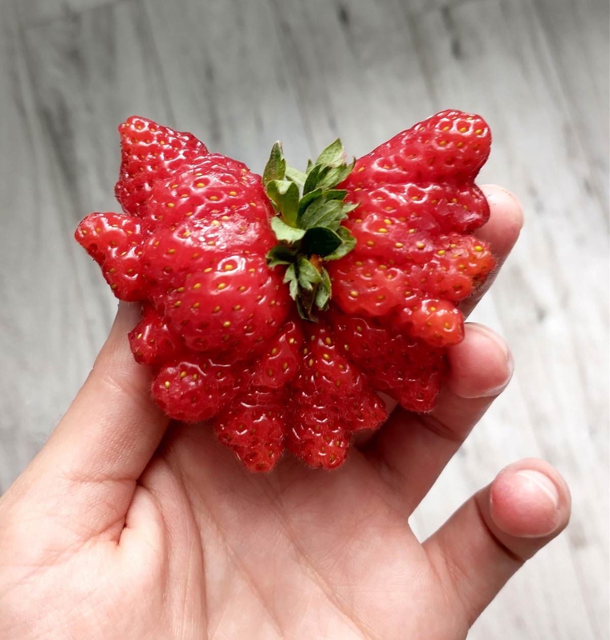 Strawberry Butterfly
