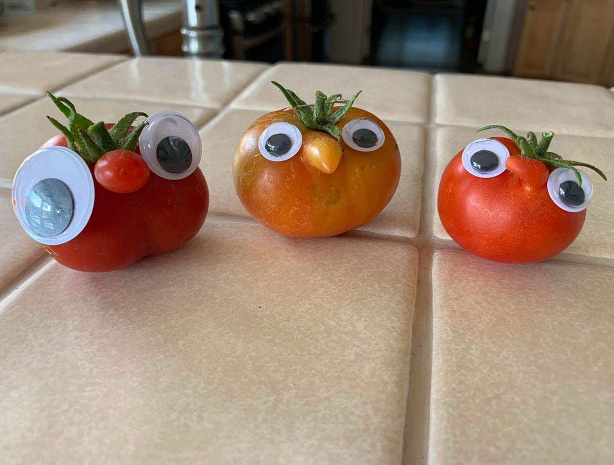 I found some nosey tomatoes