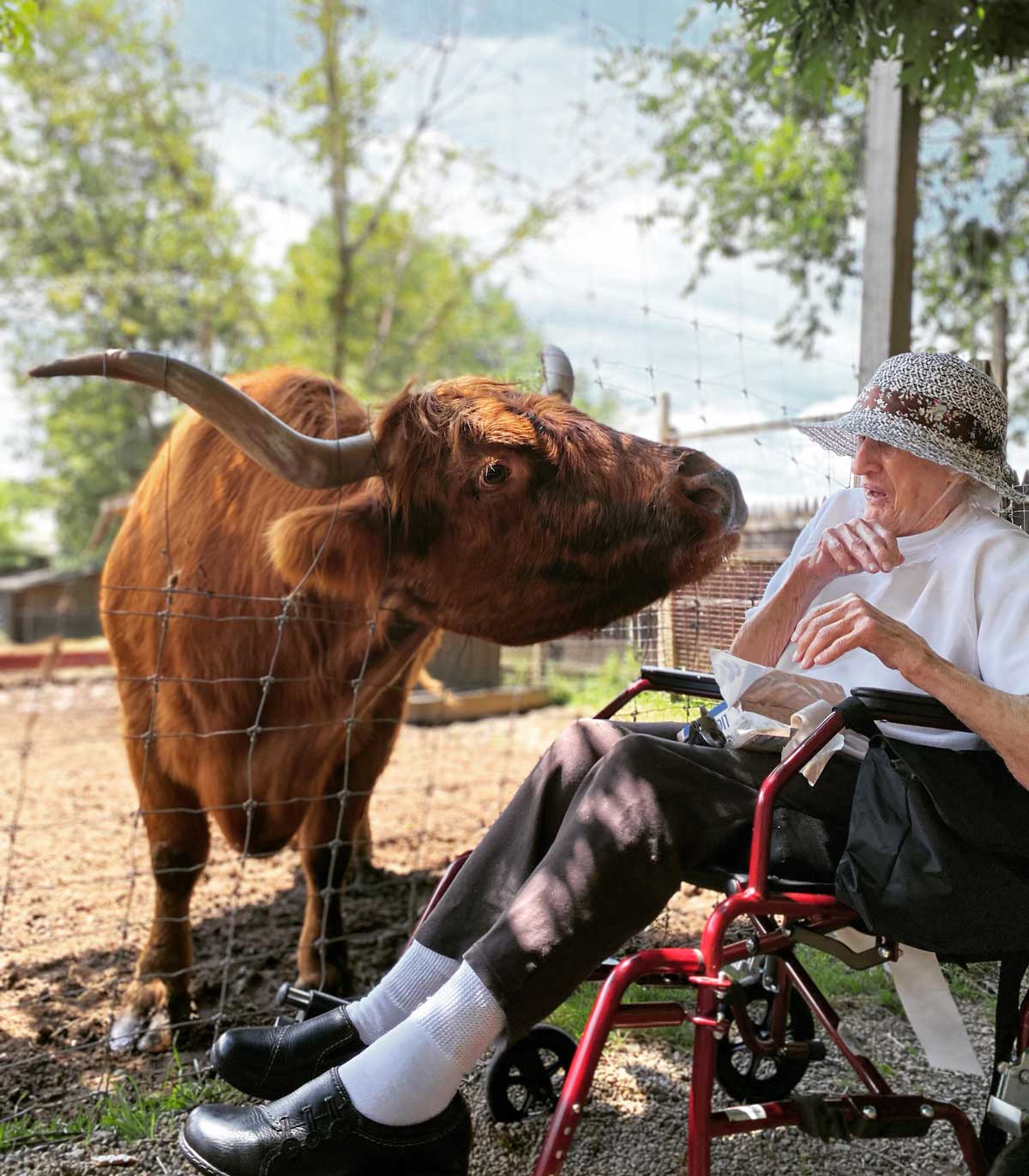 I took my 96yo grandma to the petting zoo today. She made a new friend!
