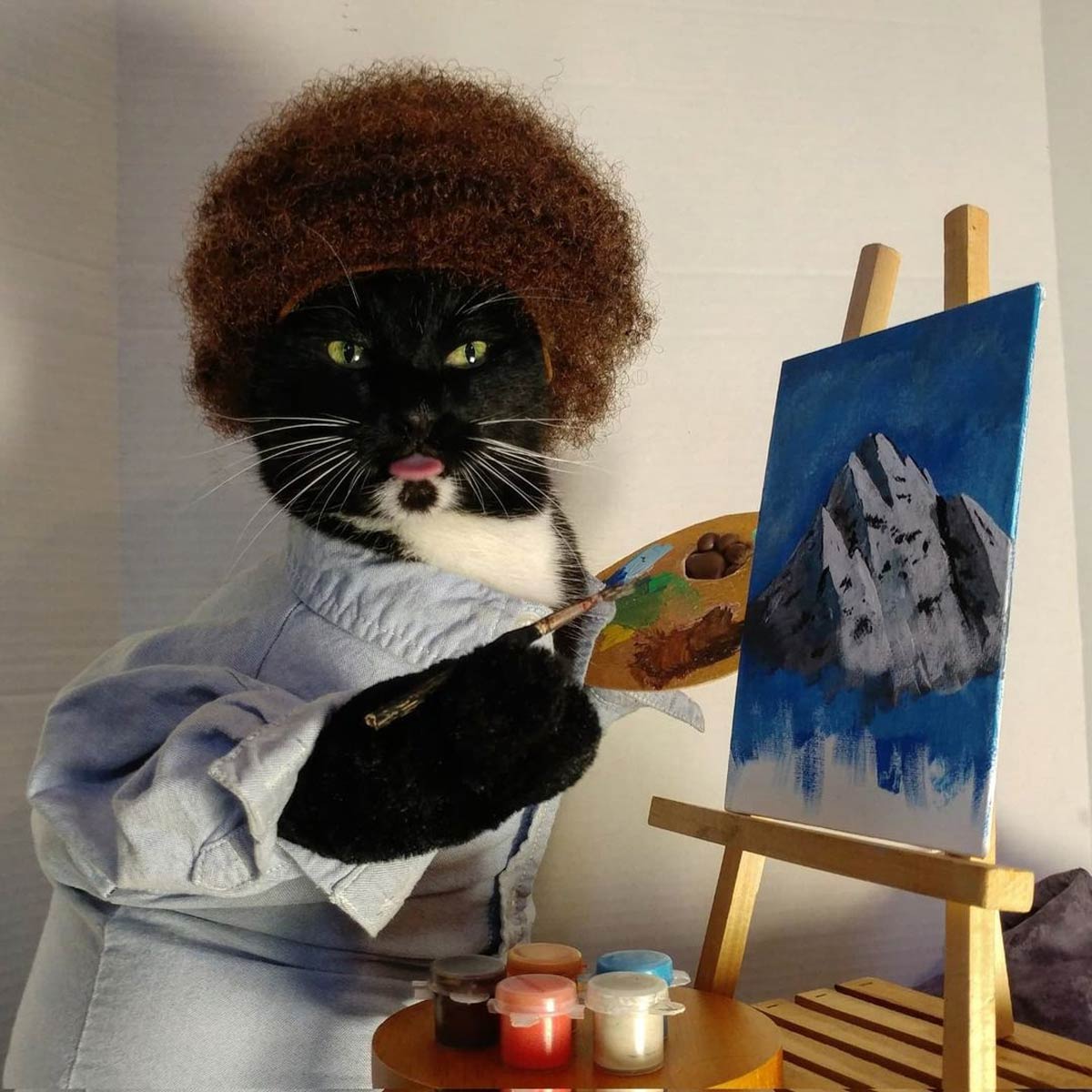 There are no meow-stakes, only happy accidents