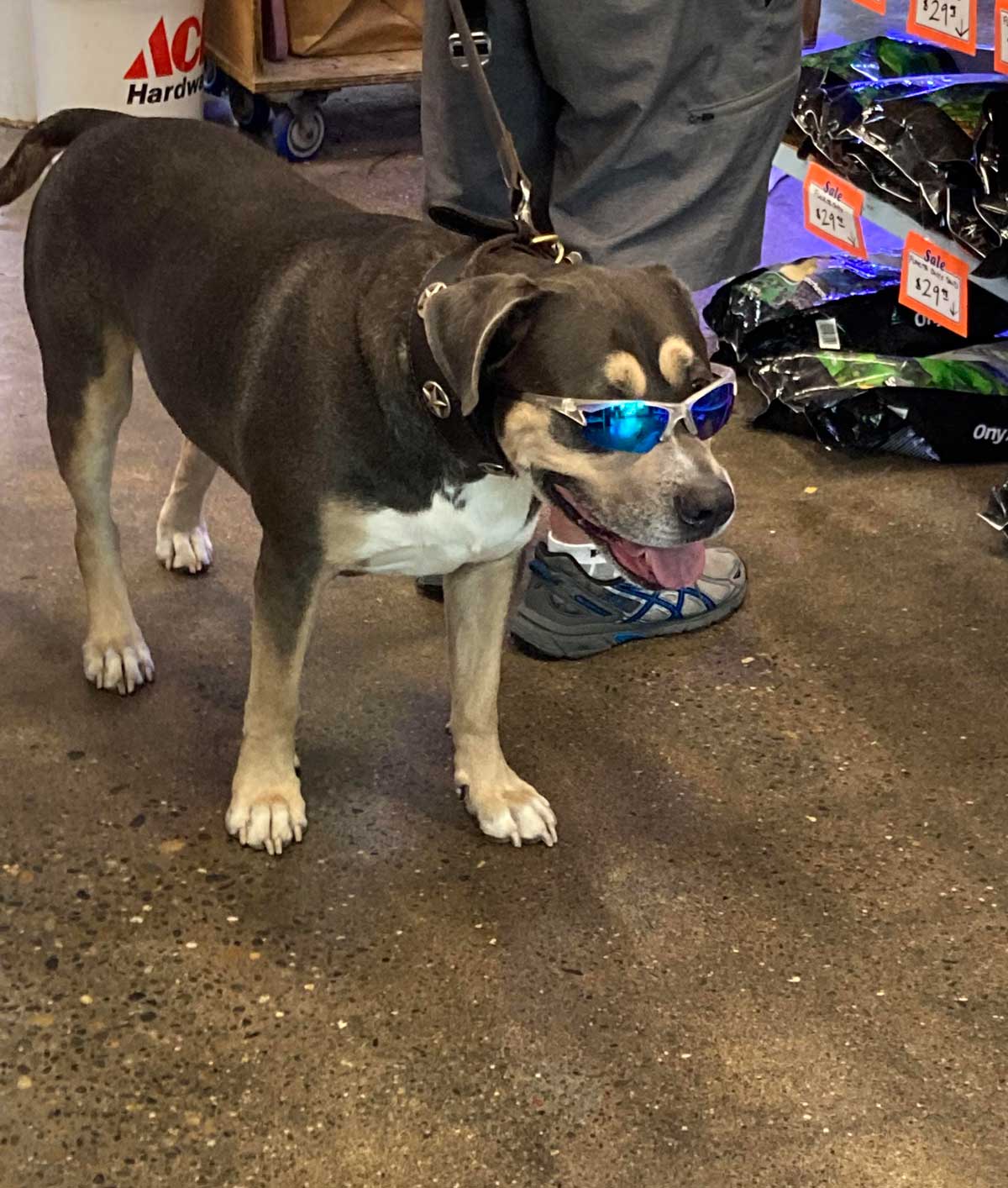 Saw this dude at a local shop