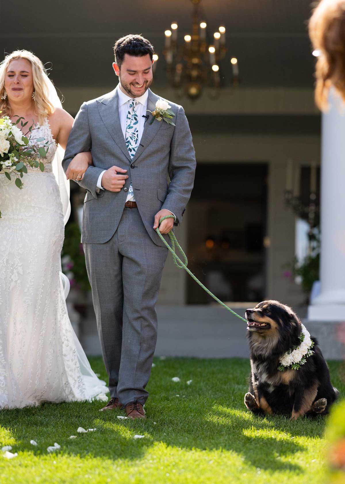 Got married last week, our dog decided to steal the show by scooting his butt down the isle