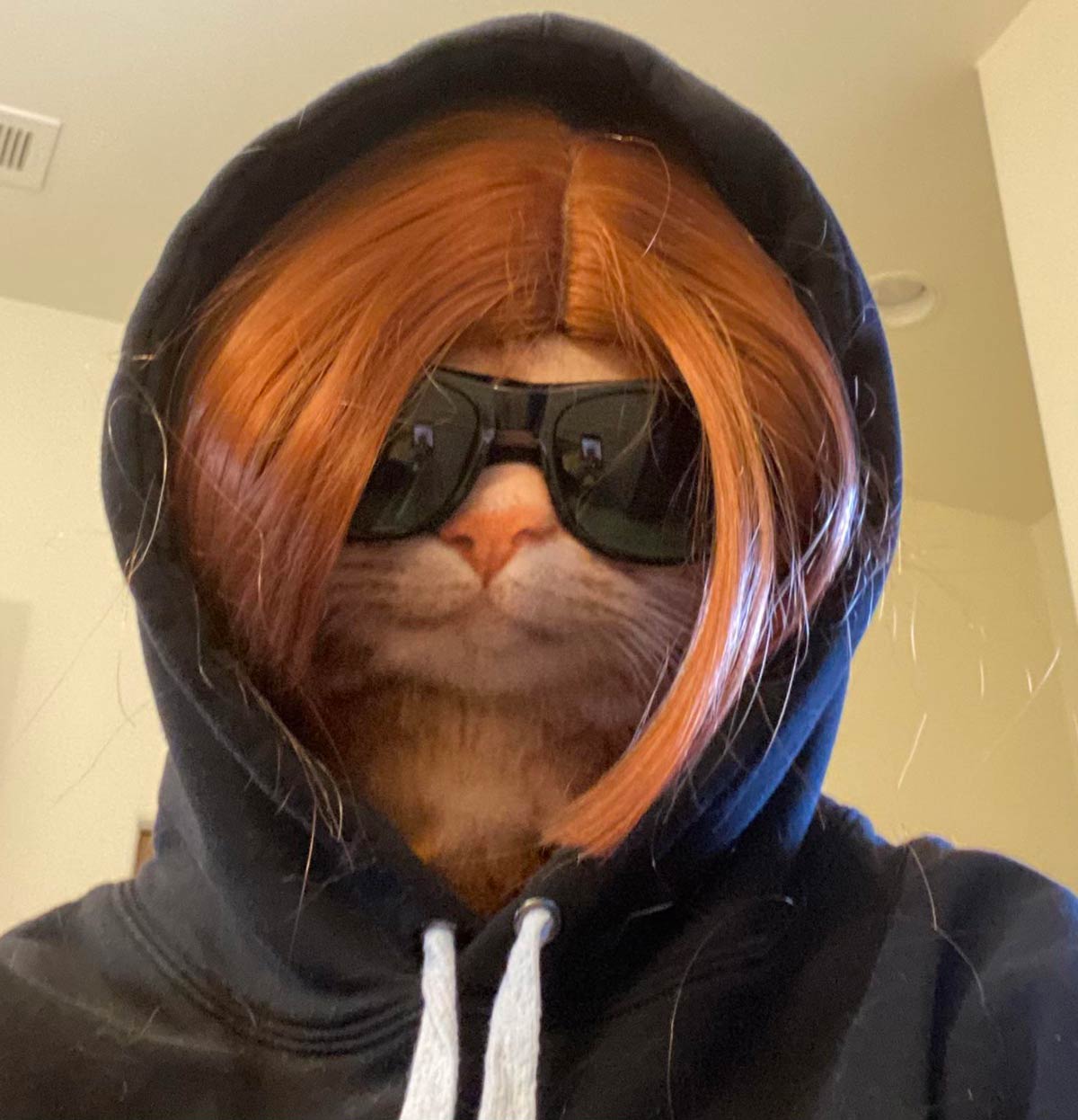 Garfield wants to speak to the manager