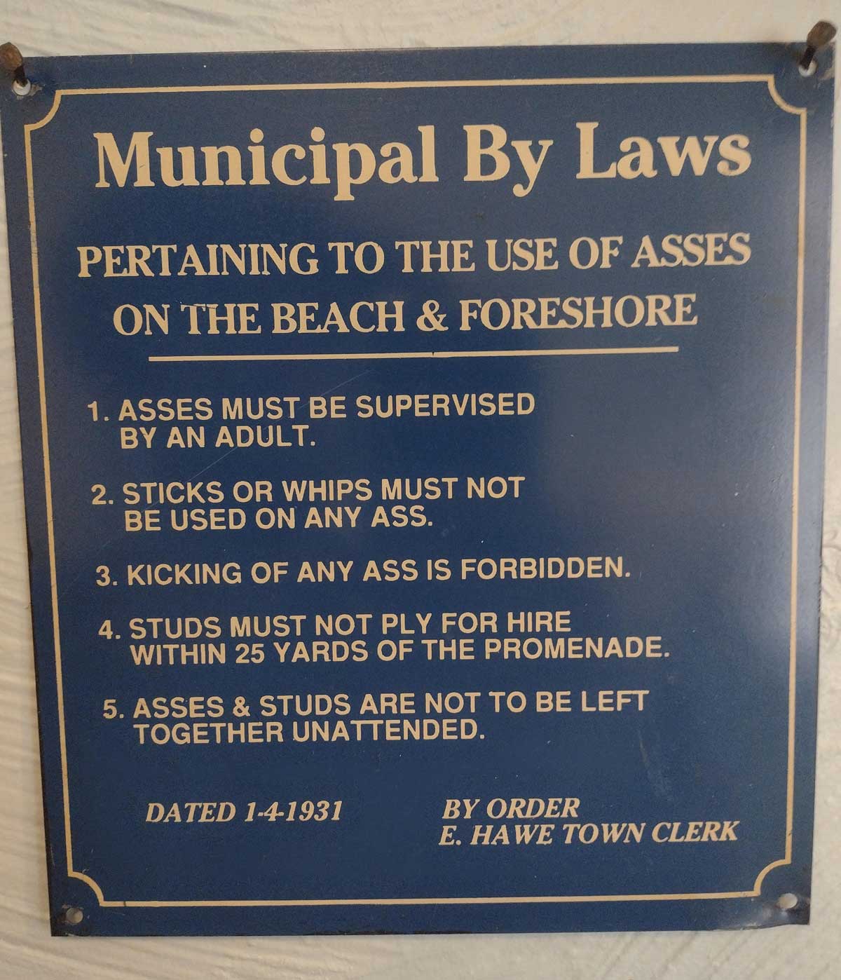 Municipal By Laws