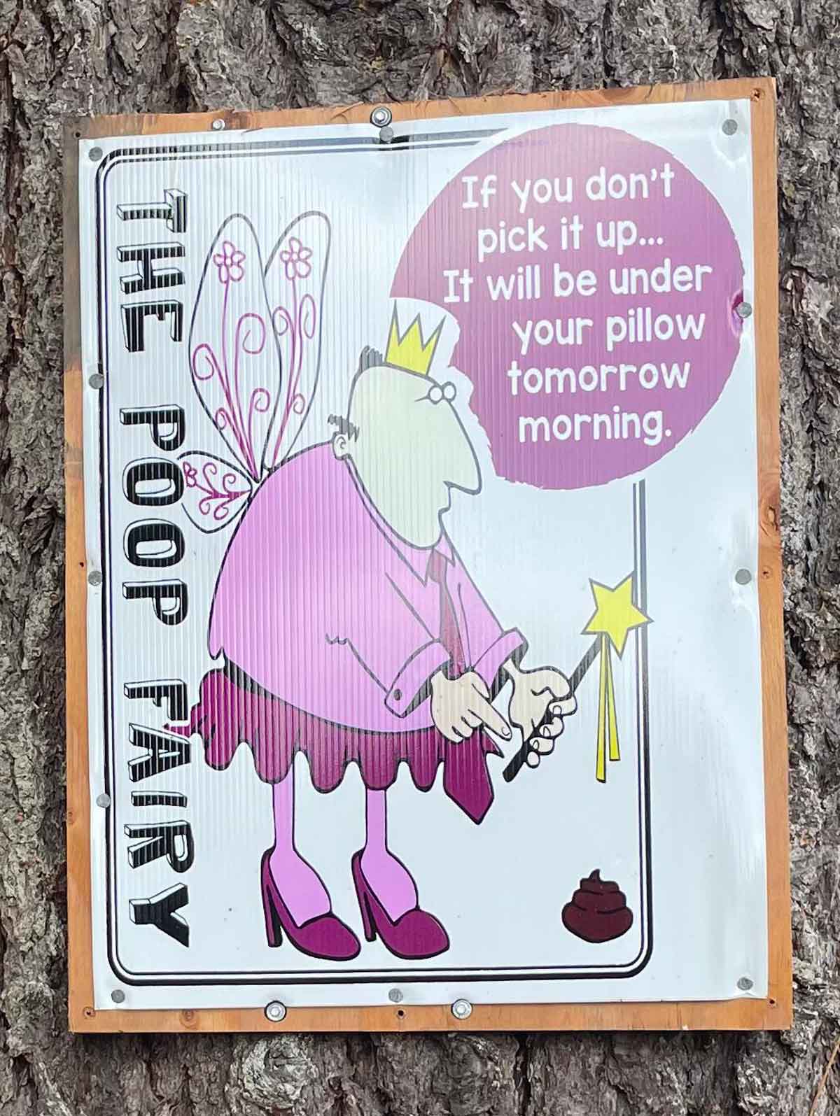 The Poop Fairy