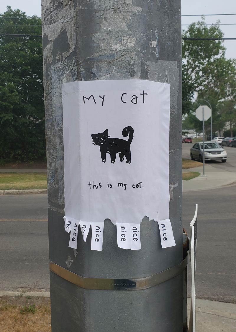 A poster depicting someone's cat. Not a lost cat, just their (illustrated) cat