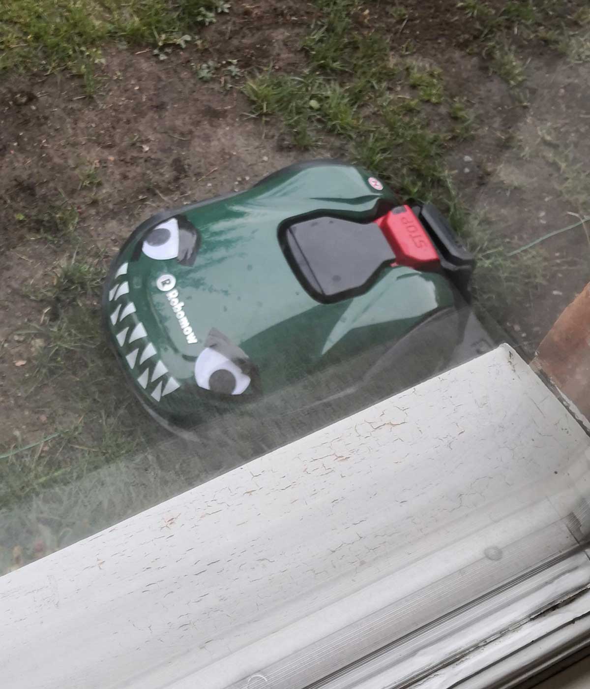 After I hurt my foot mowing the lawn, my wife bought and decorated a robomower