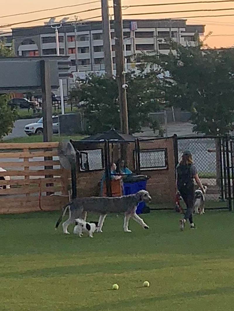 I took a panorama at a dog park I work at and caught this
