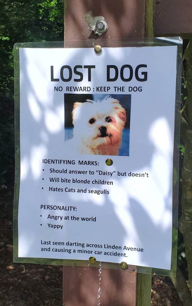 Friend of mine saw this posted up around her neighborhood