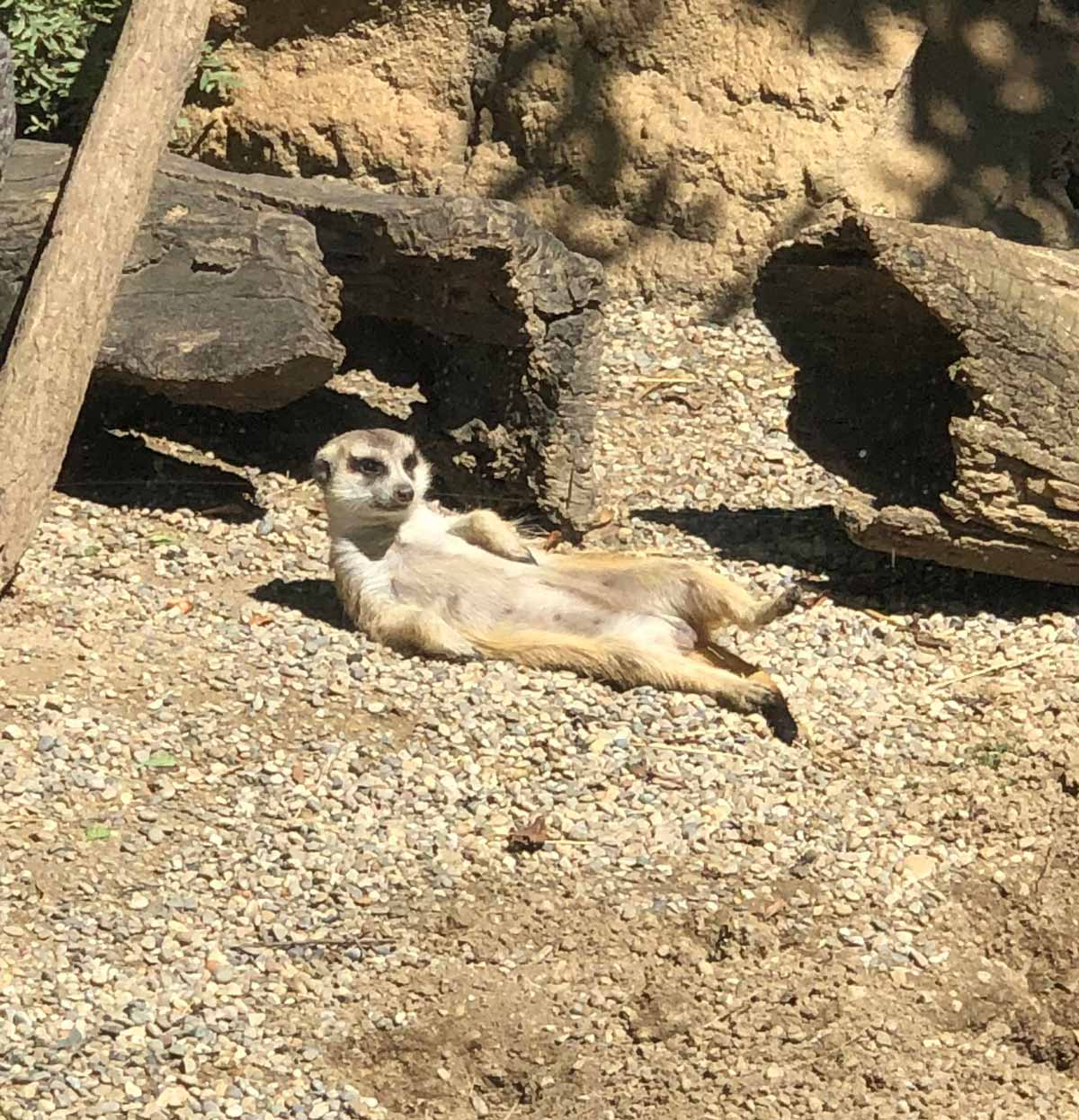 Paint me like one of your French girls