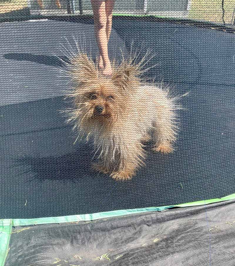 Little bit of static after playing on the trampoline
