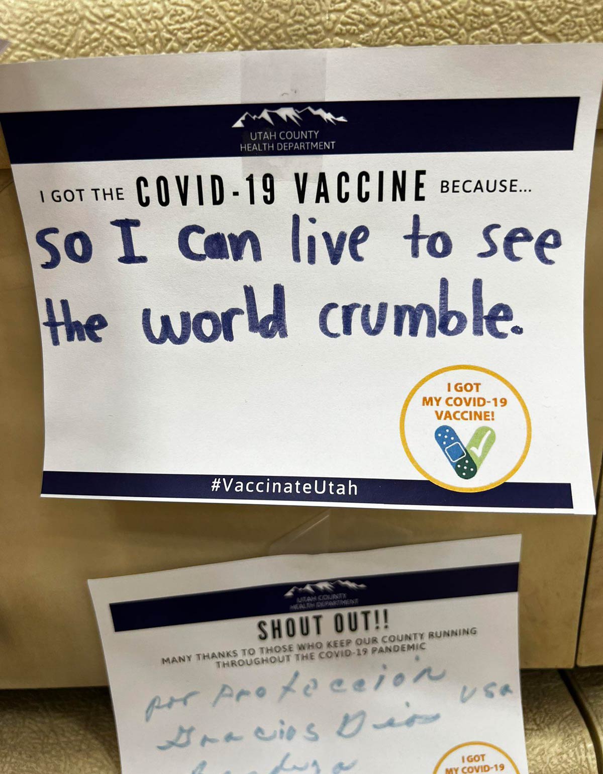 I got the COVID-19 Vaccine because...