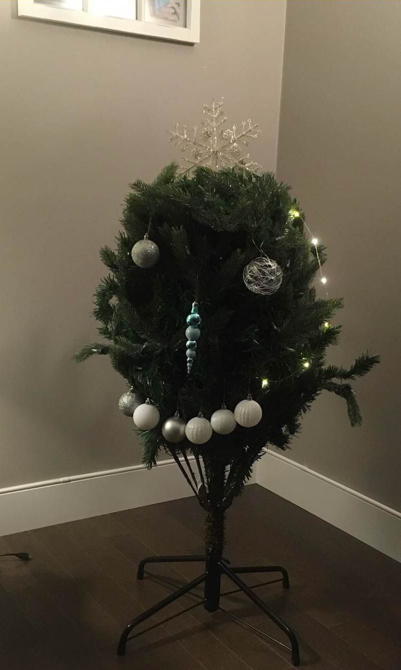 My brother's Christmas tree