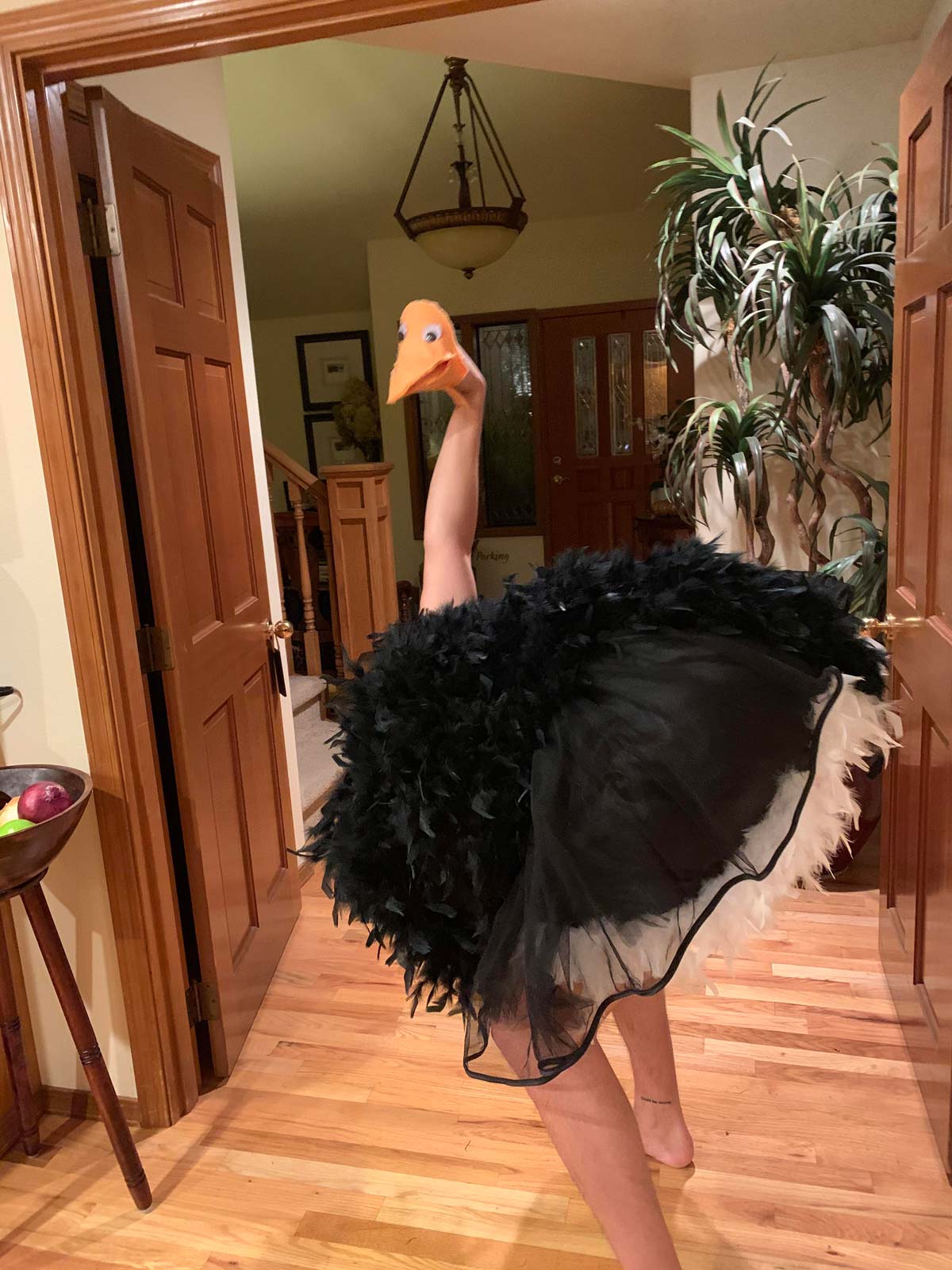 My ostrich costume from last year