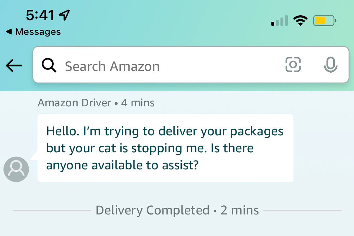 Received an alert from Amazon about a problem the driver was having while trying to deliver a package to my house