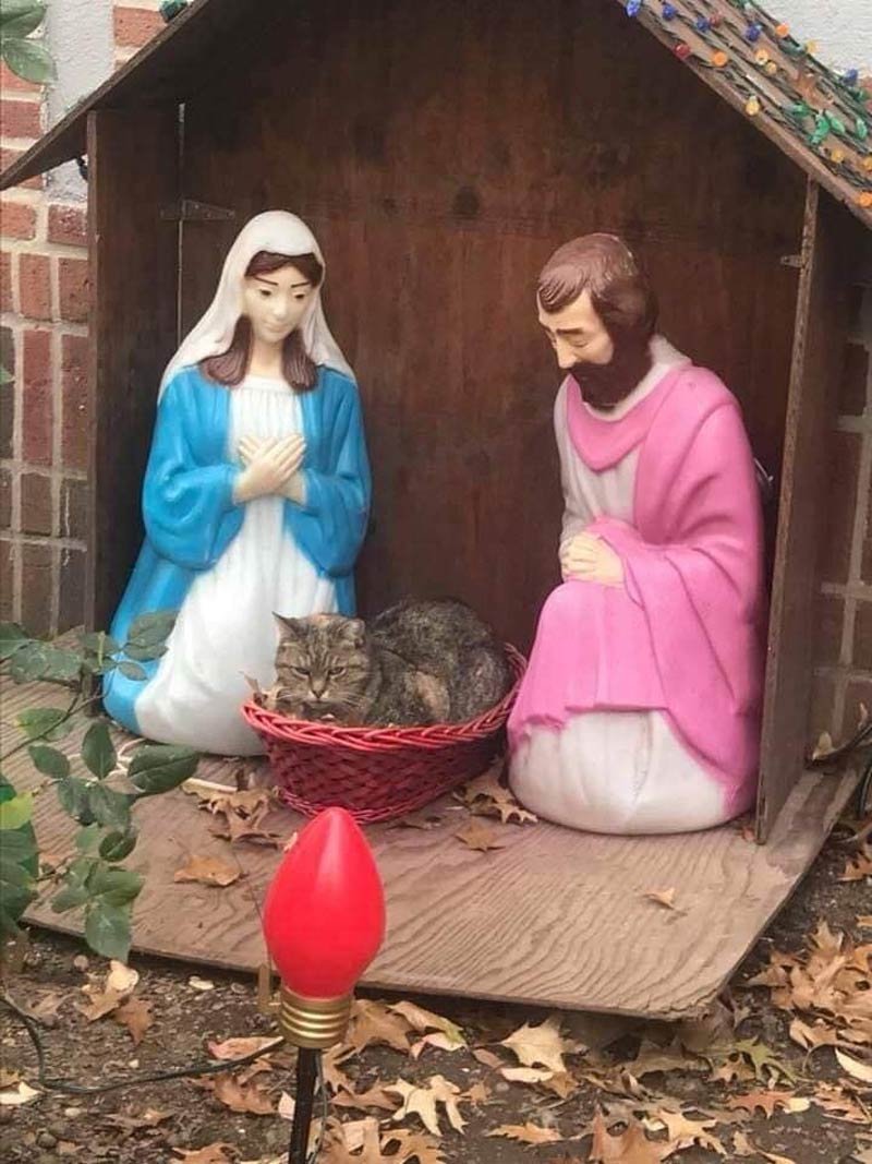 Can't really put my paw on it, but something seems a bit off with Baby Jesus